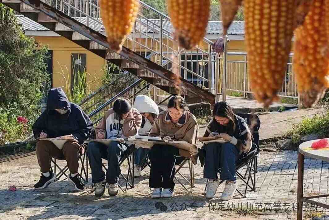 1767835031136509.jpg